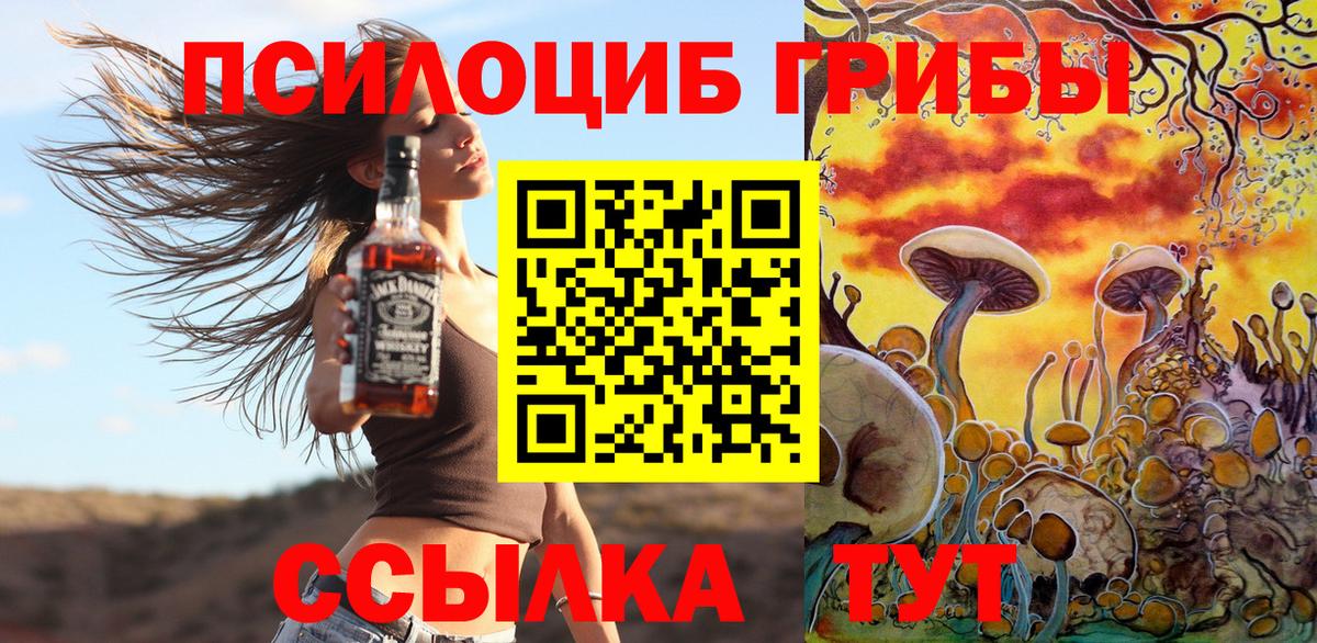 Соль-Илецк  Псилоцибиновые грибы мухоморы  Галлюциногенные грибы GOLDEN TEACHER  Вход с VPN 