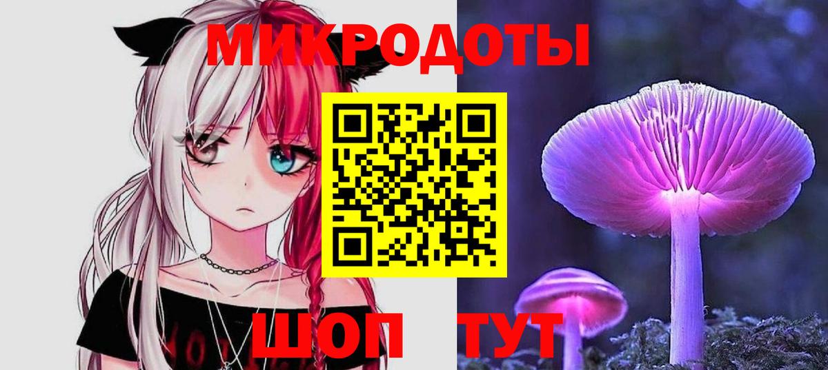 Псилоцибиновые грибы Cubensis Соль-Илецк